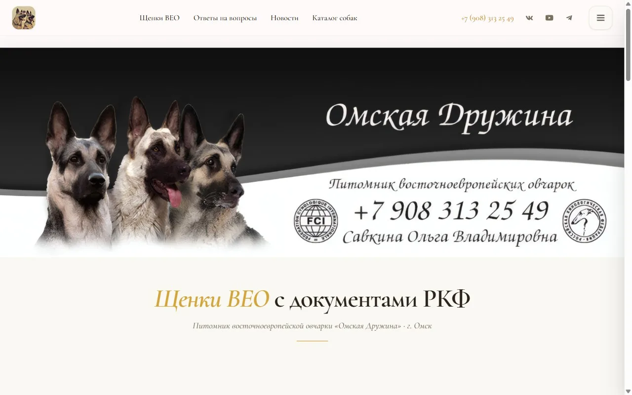 veo55.ru