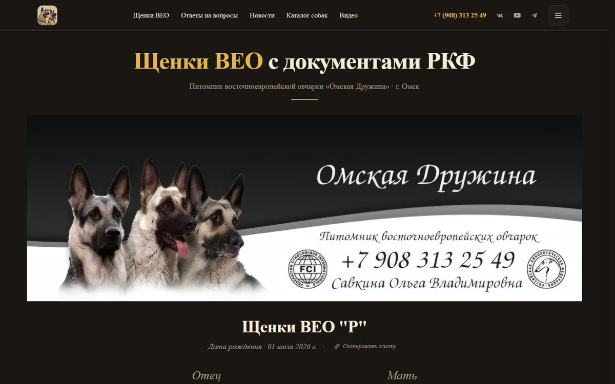 veo55.ru